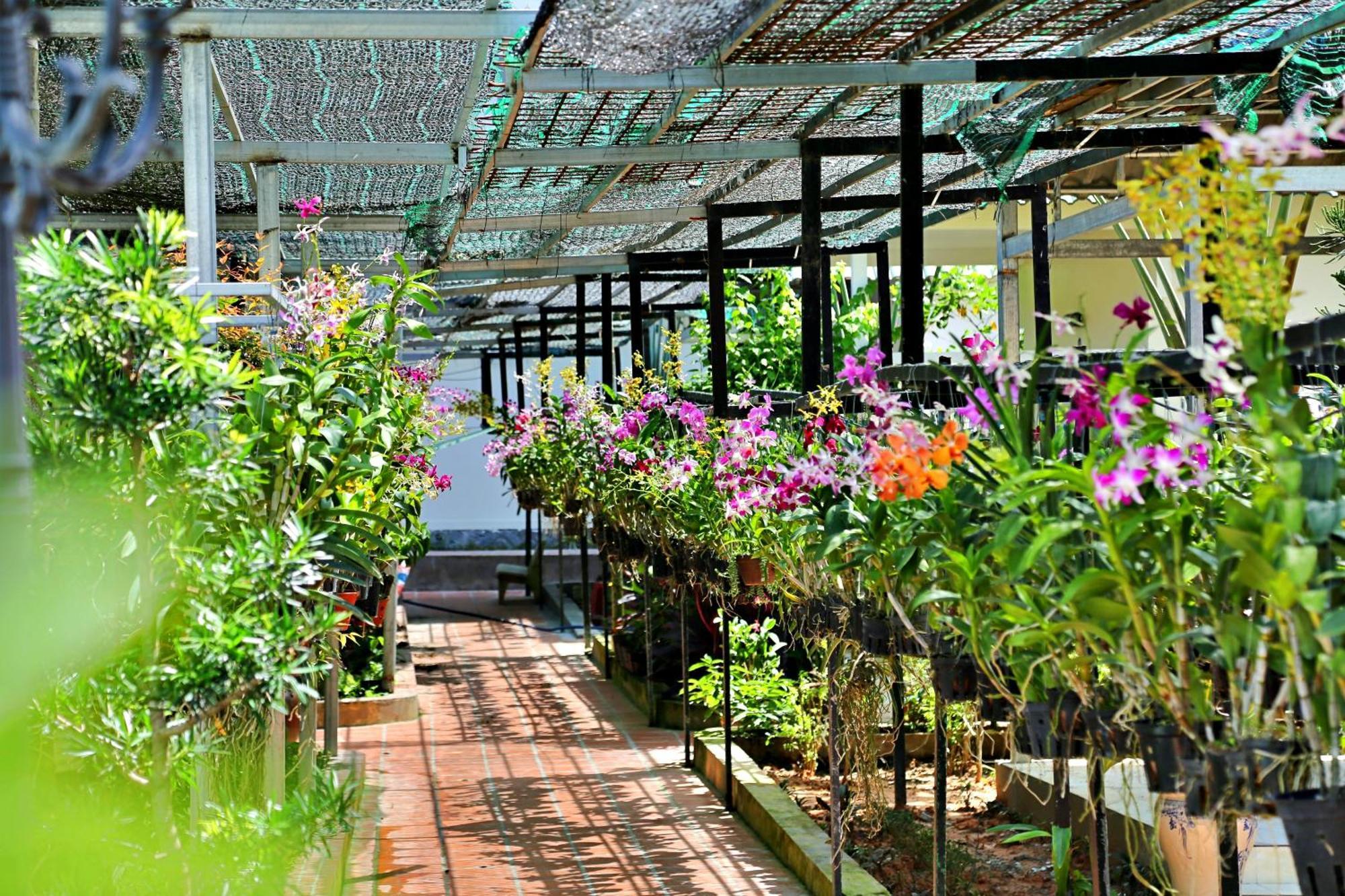 881 Lam Ha Pool Resort Phu Quoc Bagian luar foto